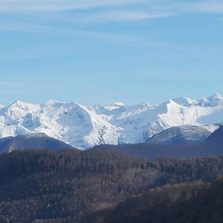Joli Gite En Ariege Avec Vue Buzan Екстериор снимка